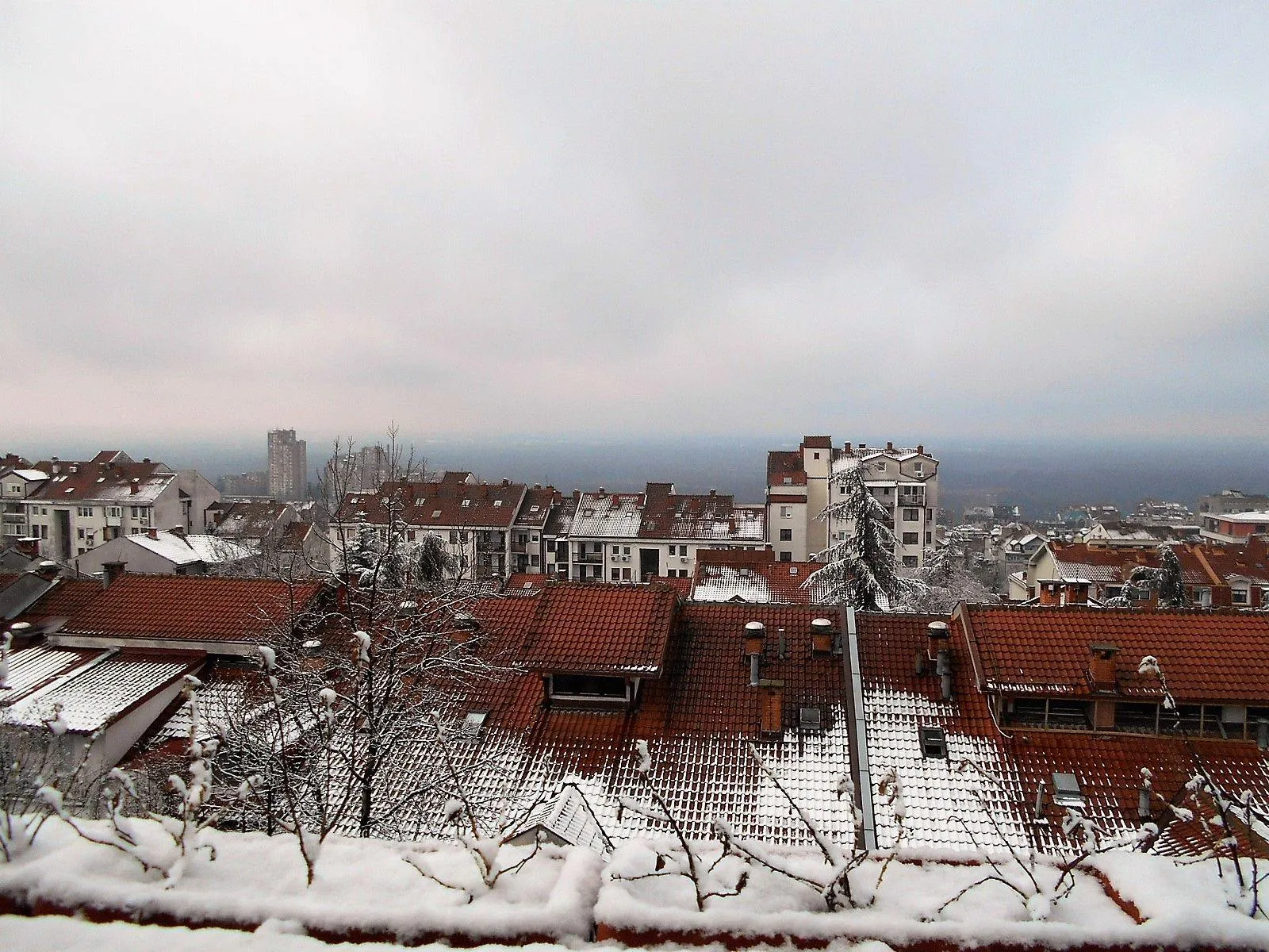 Nekretnina Golf naselje (Čukarica)