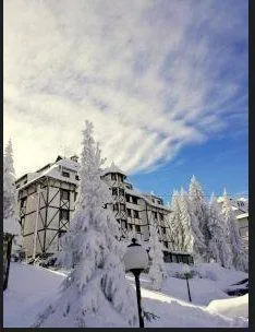 Nekretnina Kopaonik