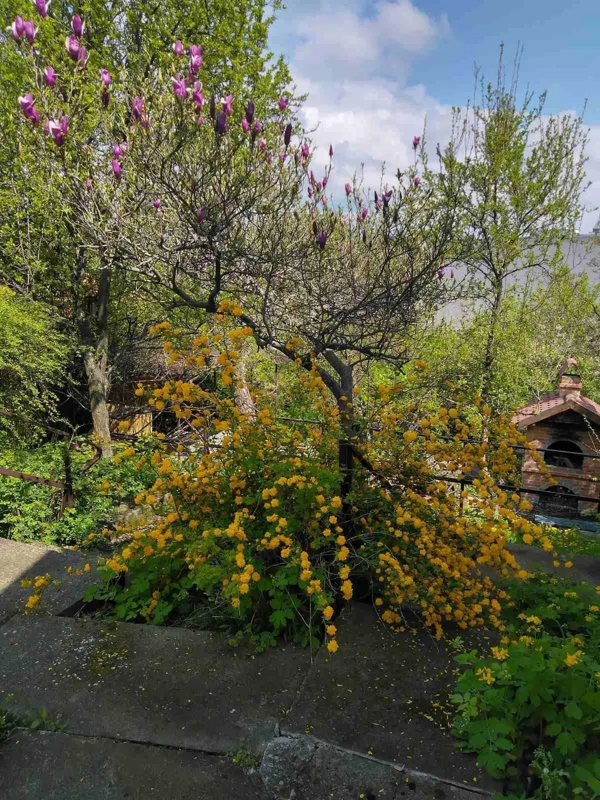 Kuća - Palilula (Beograd)