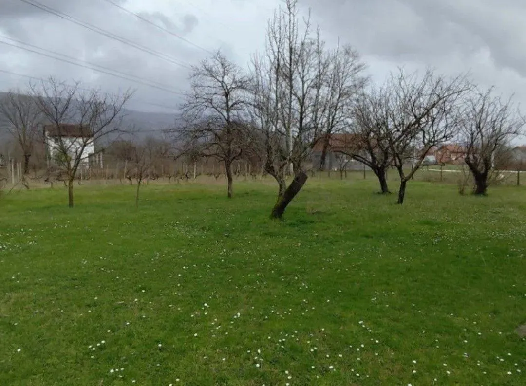 Nekretnina Martinići